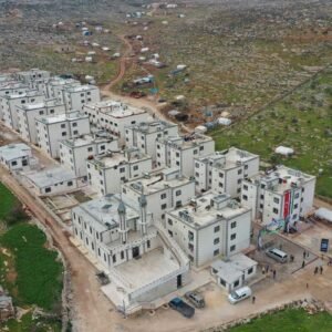 Construction & Infrastructure