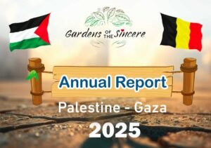 Annual Report Gaza 2025