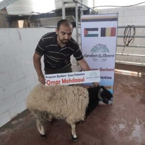 Qurbani Projects
